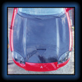 Viper Hood #2