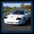 Viper Hood #1